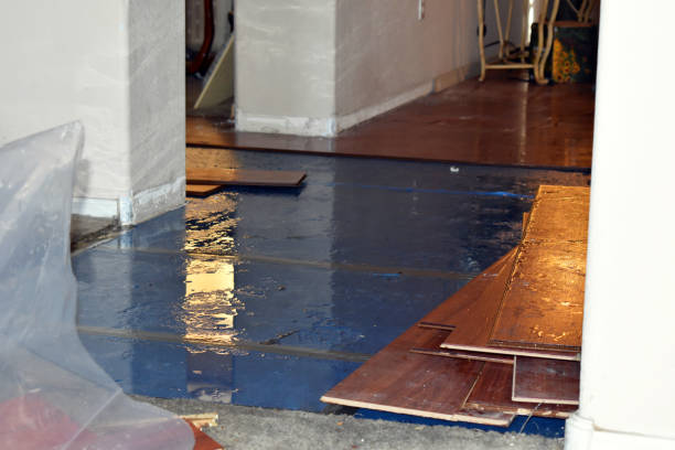 Professional Sewage Cleanup technician working in Helenville, WI